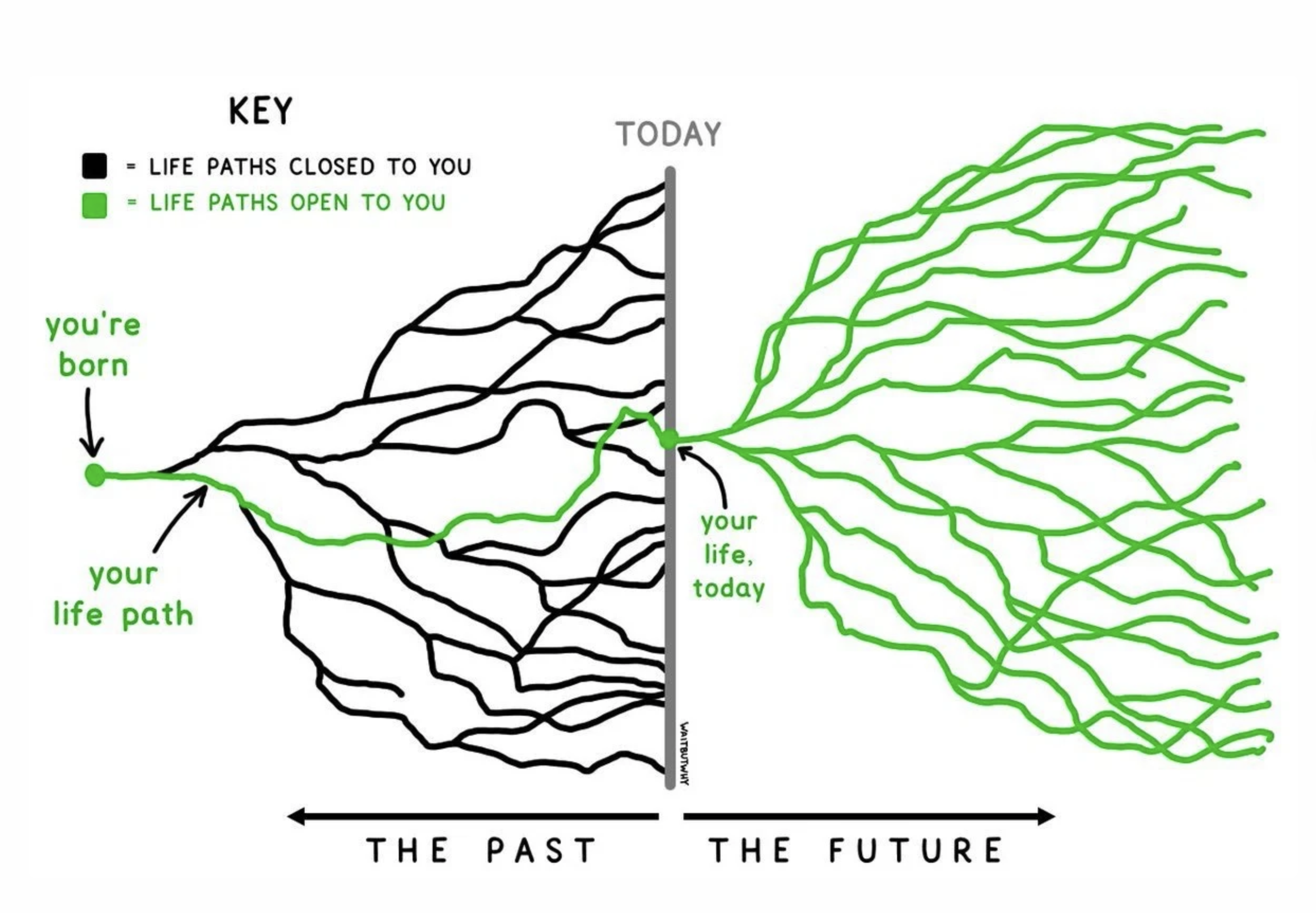 The future is wide open.